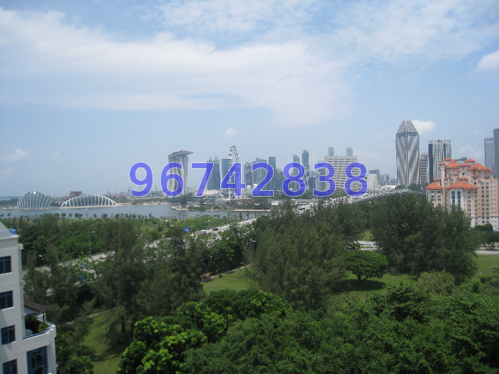 Parkshore (D15), Condominium #48802962